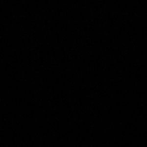 Meet your Posher, Kira